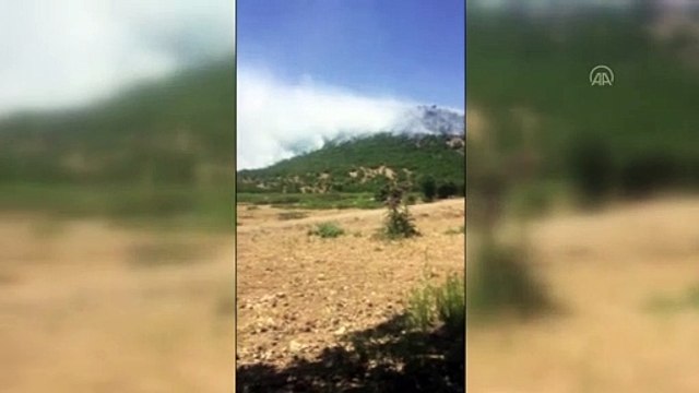 ELAZIĞ - Orman yangınına müdahale ediliyor (2)