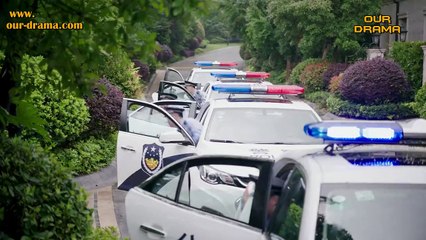 Miss Crow With Mr. Lizard36