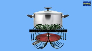 इंडक्शन कुकर कैसे काम करता है | How does induction cooker work 