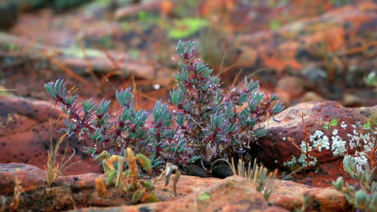 NSW government to construct a national park