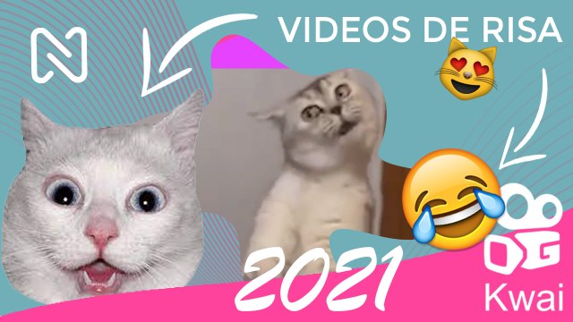 VIDEOS DE RISA, SHITPOST, Si Te RÍES PIERDES Nivel: KWAI JUNIO 2021.