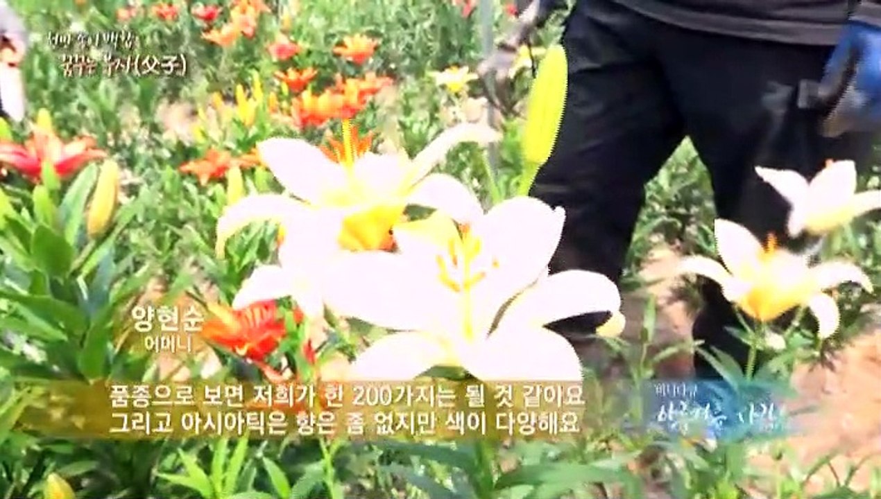 [미니다큐] 아름다운 사람들 - 157회 : 천만 송이 백합을 꿈꾸는 부자
