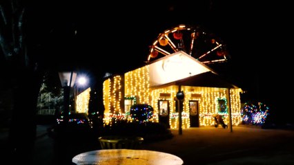 Winter Holiday Celebration at Wild Adventures Theme Park Tour & Review
