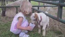Forget CATS and DOGS  Hilarious KIDS vs ZOO ANIMALS are SO FUNNIER | funny pets