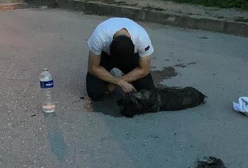 ARAÇ ÇARPMASIYLA YARALANAN KÖPEĞİNE SARILARAK AĞLADI