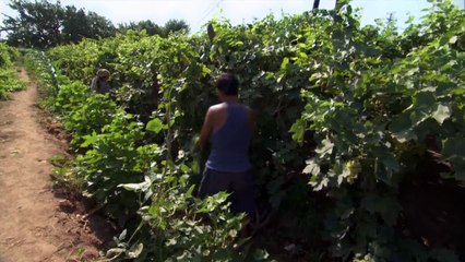 Beyond the Great Wall + 长城之外