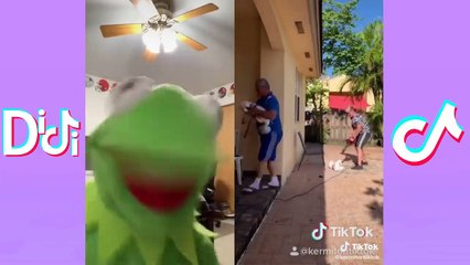 Best @Kermitontiktok Tiktoks Of 2021 | Funny Kermit On Tiktok Videos Compilation