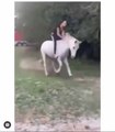 Funny horse riding by a girl  fails