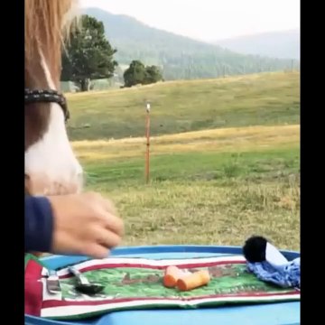 Sunny Bunnies - Olympics Compilation | Videos For Kids | Funny Videos For Kids Videos For Kids