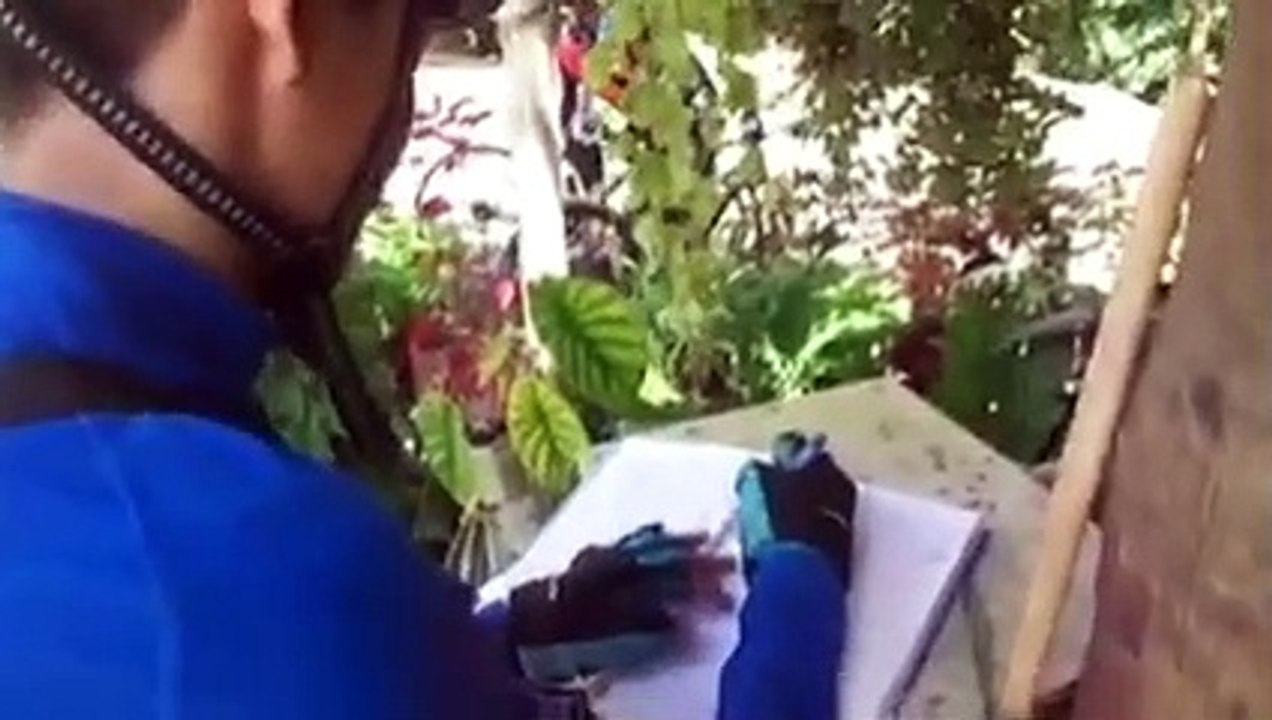 Tinubdan Falls in Catmon, Cebu I A Hidden Gem