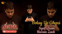 Bolay Ye Ghazi | Noha | Syed Qasim Hussain Zaidi | Labaik Labaik