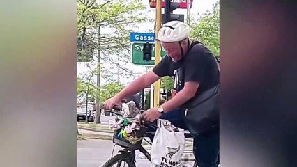 Time Warp Scan Tiktok Compilation - Funny Dogs And Cats Reaction