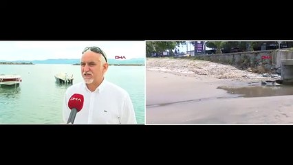 Deniz salyası Karadeniz’de