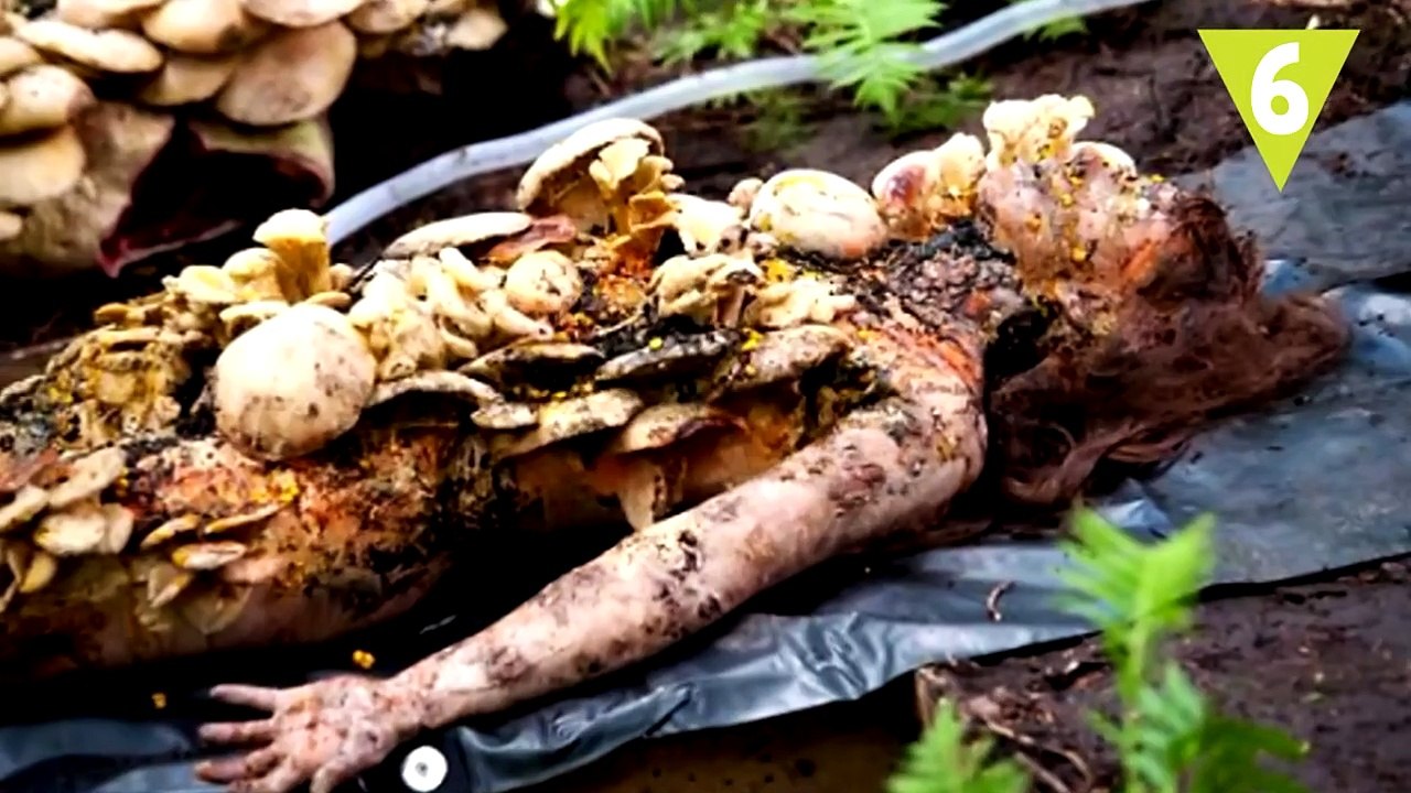 10 cosas asquerosas que te haran bomitar