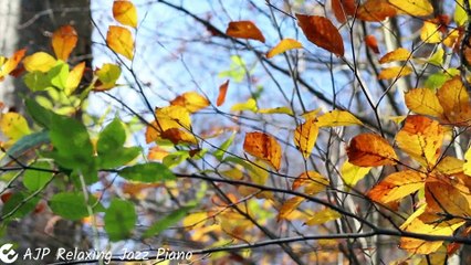 Leaves in the Wind   by   AJP Relaxing Jazz Piano