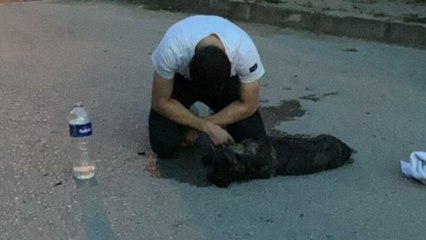 Can dostunun başında dakikalarca ağladı