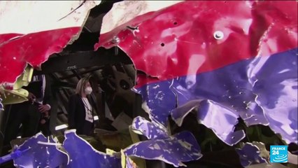 Crash du vol MH17 : le procès reprend avec l'examen des preuves