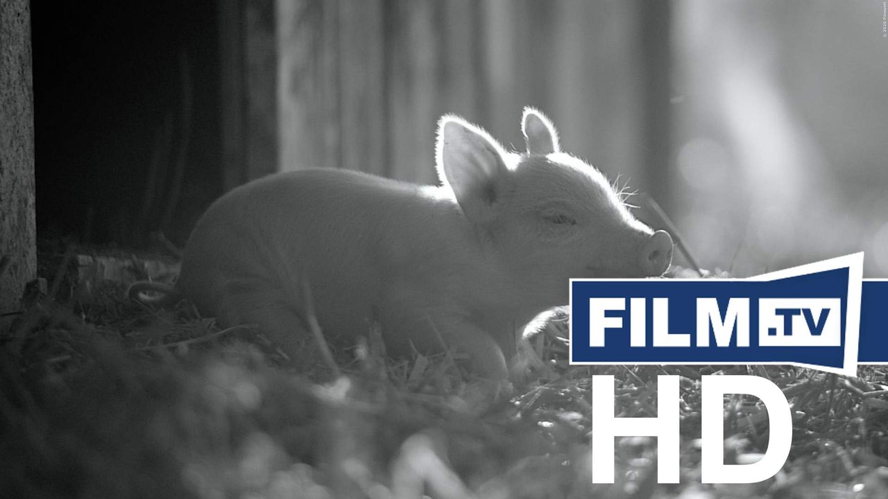 Gunda Trailer Deutsch German (2021)