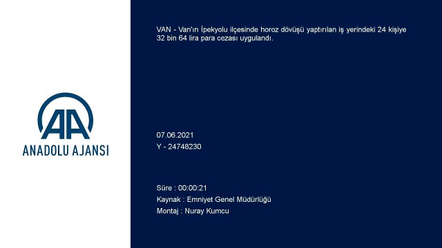 VAN - Horoz dövüştürülen iş yerindeki 24 kişiye 32 bin 64 lira ceza verildi