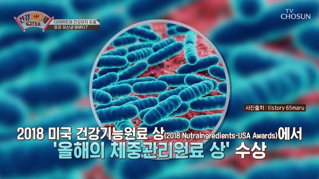 체지방 감소·장 개선에 도움 주는 【모유 유산균 BNR17】 TV CHOSUN 210607 방송