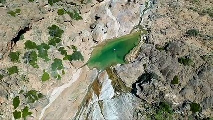 أزمة بيئية تهدد التنوع البيولوجي في أرخبيل سقطرى اليمني