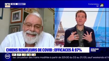 Des chiens renifleurs déployés cet été pour... sentir le covid19 sur les Français