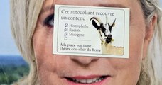 Indre : des chèvres se sont incrustées sur les affiches de campagne du RN