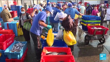 Peru's polarising election challenges economic model