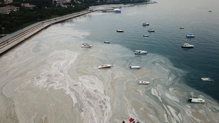 FENERBAHÇE SAHİLİNDEN ÇARPICI MÜSİLAJ GÖRÜNTÜSÜ