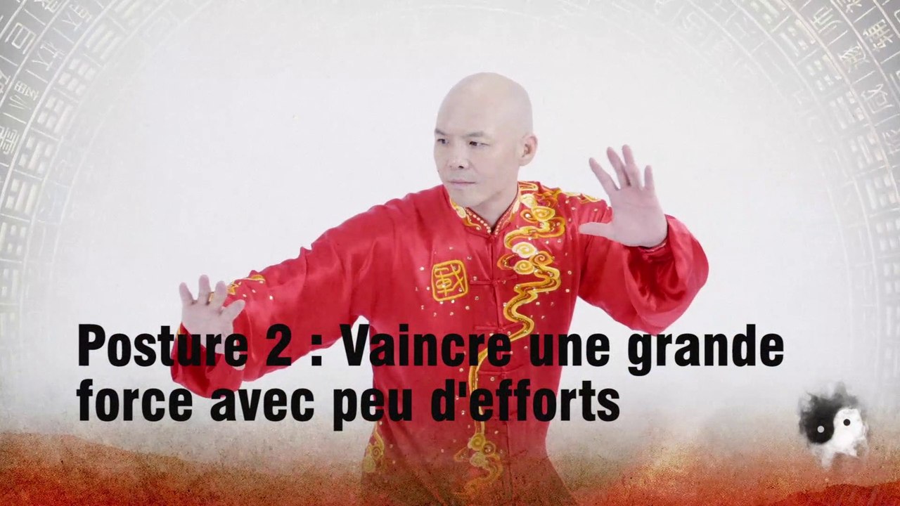 ☯️Micro-classes de Taijiquan – Épisode 2 : vaincre une grande force avec peu d’efforts 太极拳微课堂2：四两拨千斤