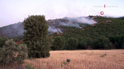 Yerleşim alanlarının sınırına dayandı, 4 gündür yanıyor