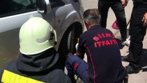 SİİRT - Bir aracın motor bölümüne sıkışan kedi itfaiye ekiplerince kurtarıldı