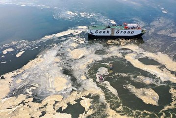 İzmit Körfezi'nde müsilaj temizleme çalışmaları sürüyor