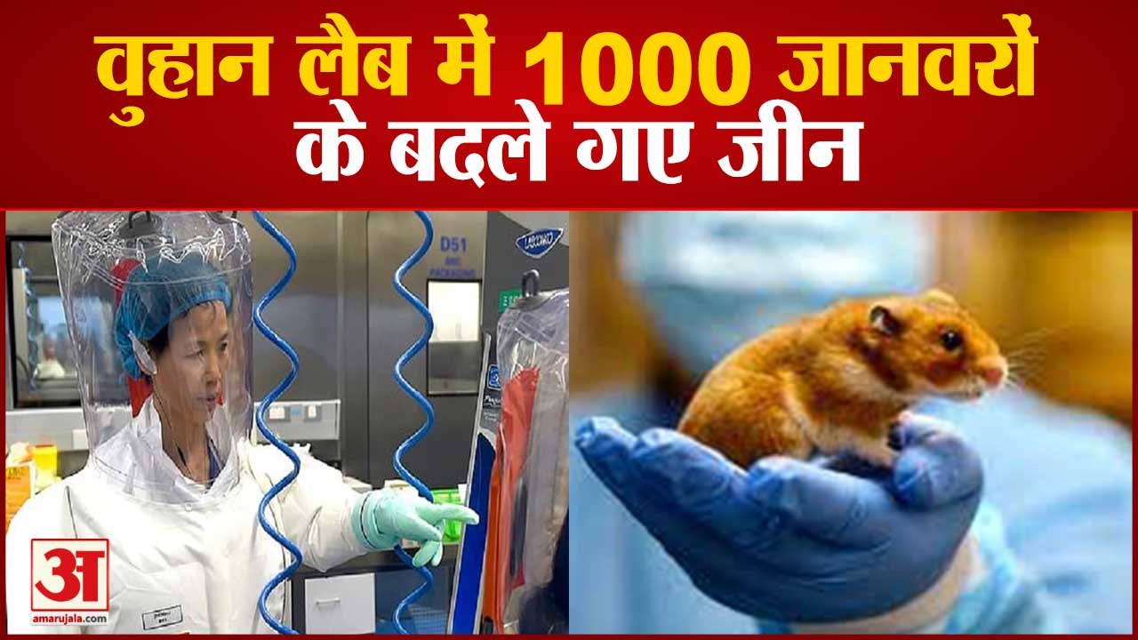 वुहान लैब: जानवरों पर चीन कर रहा खतरनाक प्रयोग | 1000 Animals Genes Changed in Wuhan Lab China