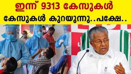 9313 New Covid Positive Cases In Kerala Today