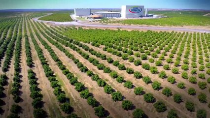 Don Simón, una planta única, innovadora y pionera a nivel internacional