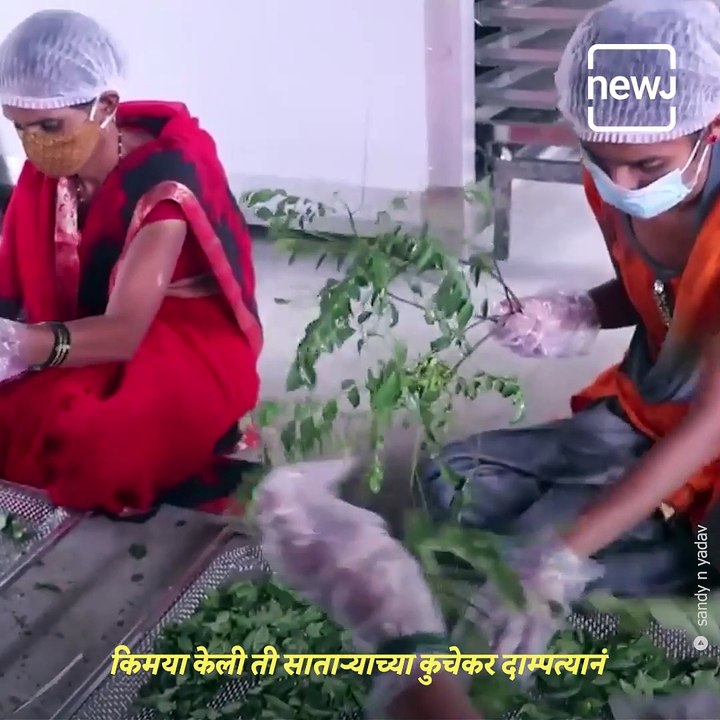A Sucess story Of Farmer Hanmant Kuchekar