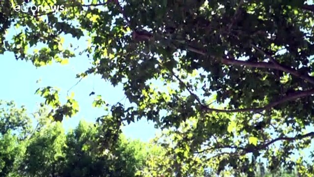 Google заплатит крупный штраф