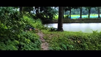 Top Rainy Bollywood Hit Songs to Elevate Your Mood 🎶