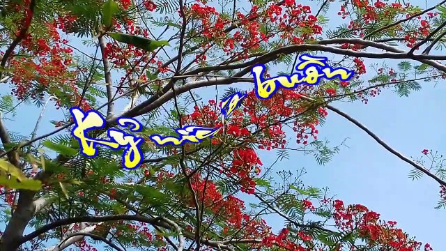 [Karaoke] KỶ NIỆM NÀO BUỒN - Hoài An (Giọng Nữ)