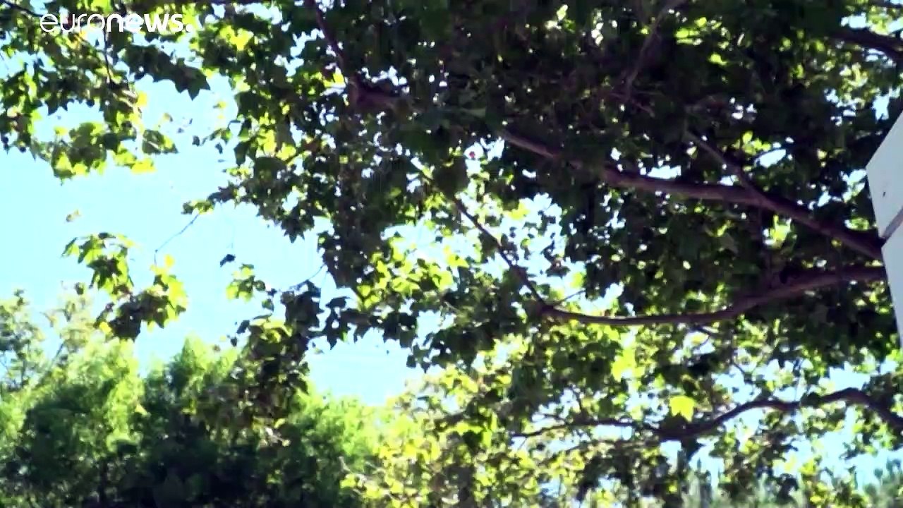 Unlautere Online-Werbung: Google zahlt in Frankreich 220 Mio. Euro Strafe