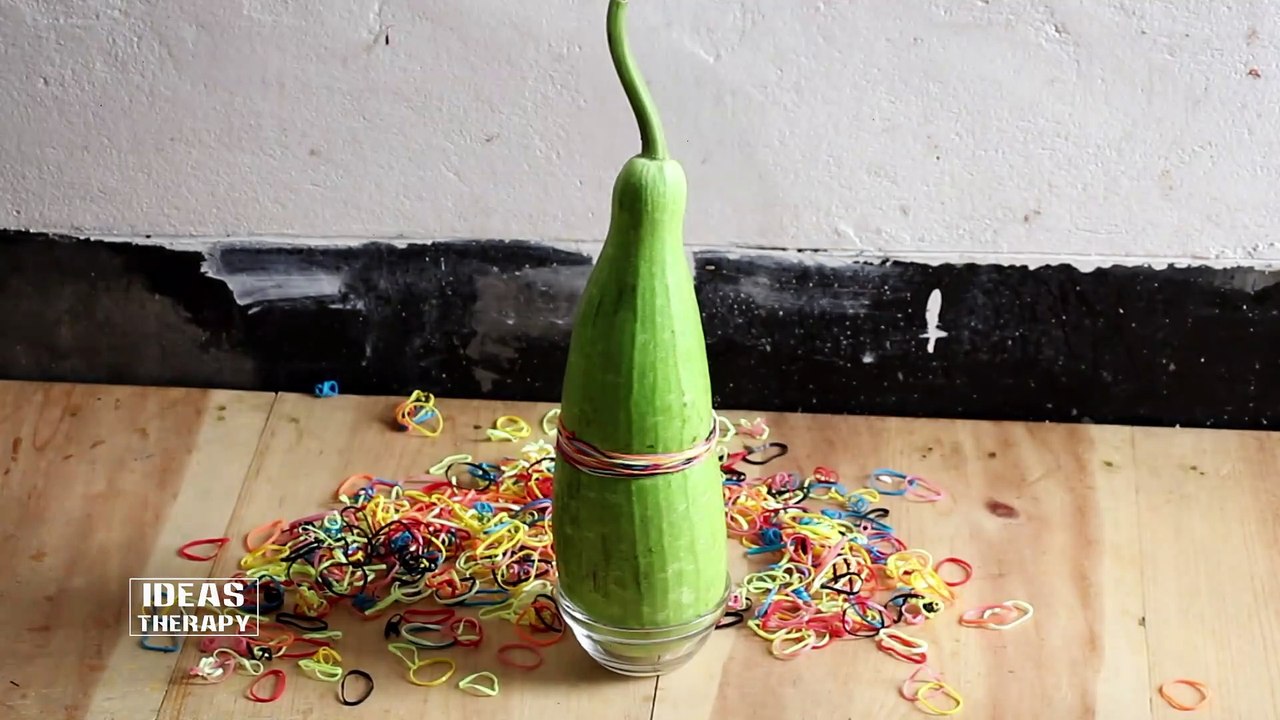Calabash Vs Rubber Bands | Latest Experiment Challenge Video | Ideas Therapy ​