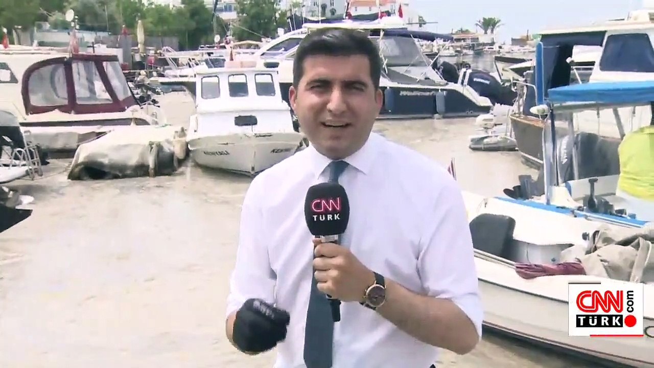 Büyükada da salya tehdidi tehdit altında
