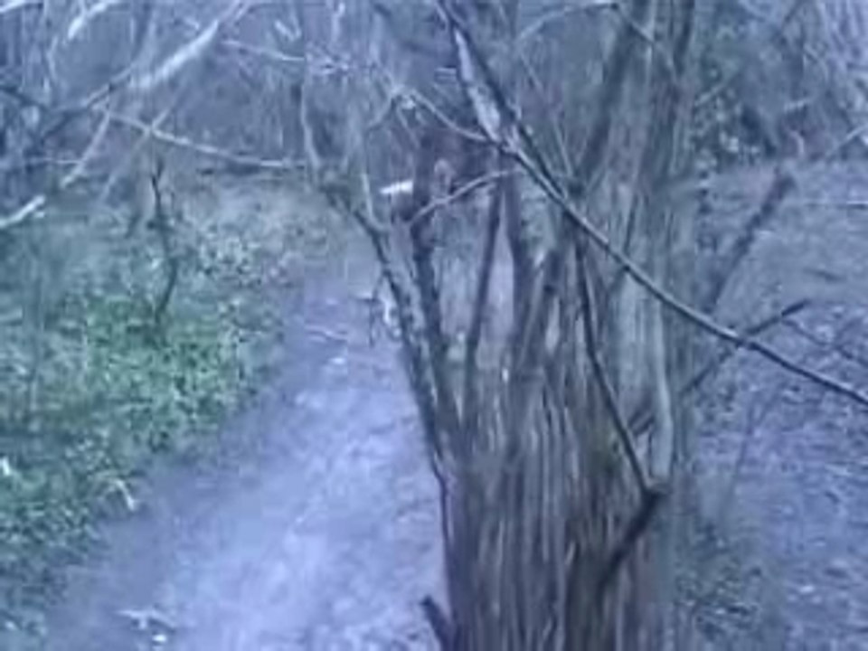 Dirt freeride a vélo a voir