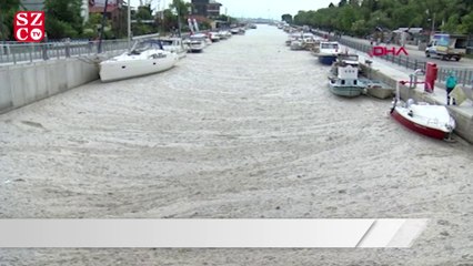 Download Video: Kadıköy Kurbağlıdere ile sahilleri deniz salyası kapladı: Ekipler temizlik çalışması yaptı