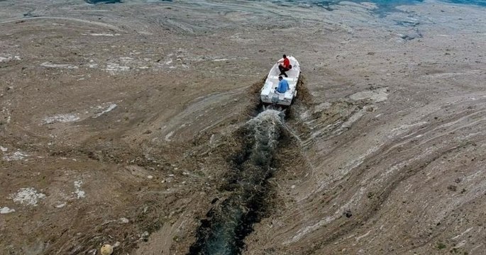 De la « morve de mer » envahit les côtes turques