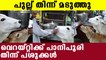 Visuals of Cow eating pani puri has gone viral | Oneindia Malayalam