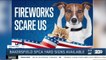 How to help pets deal with fireworks