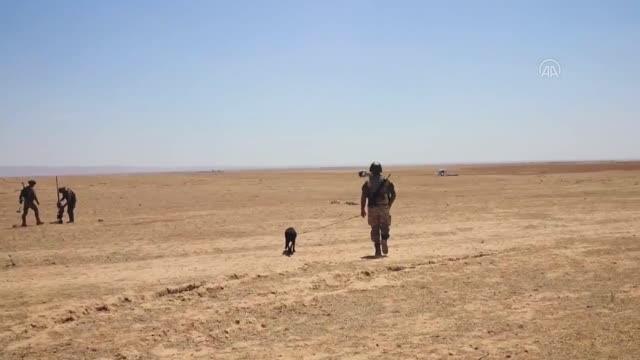 Barış Pınarı bölgesinde bir araca tuzaklanmış bomba imha edildi