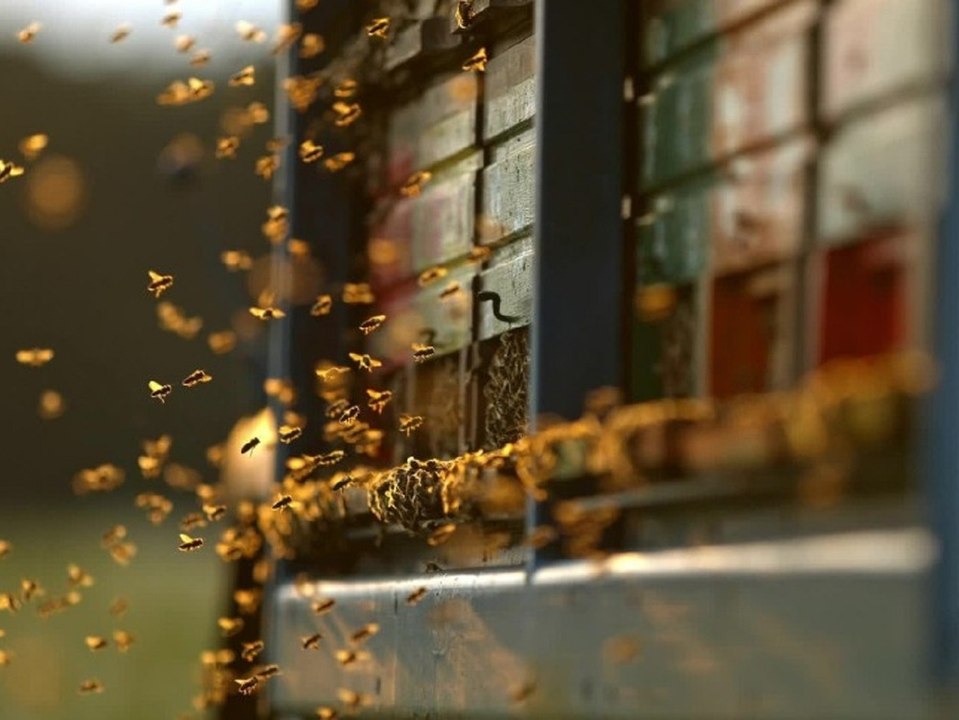 Wie man mit einem Kaugummiautomaten die Welt verbessern kann